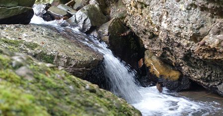 sud ouest pyrénées